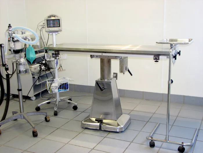 Southgate Animal Hospital Picture 6