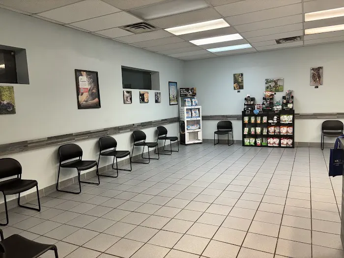 Southgate Animal Hospital Picture 10