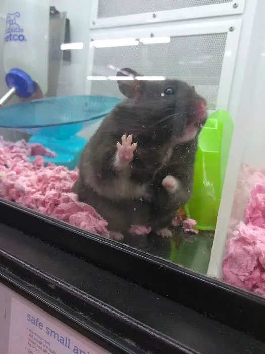 Petco Picture 1