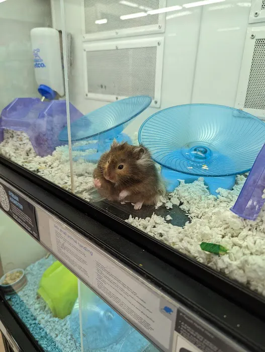 Petco Picture 6