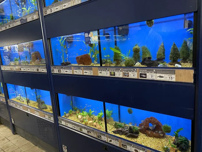 Petco Picture 5