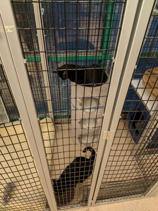 Petco Picture 8