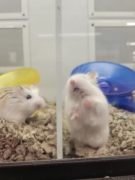 Petco Picture 2