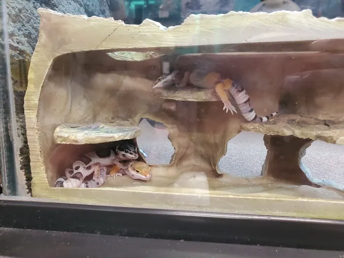 Petco Picture 1