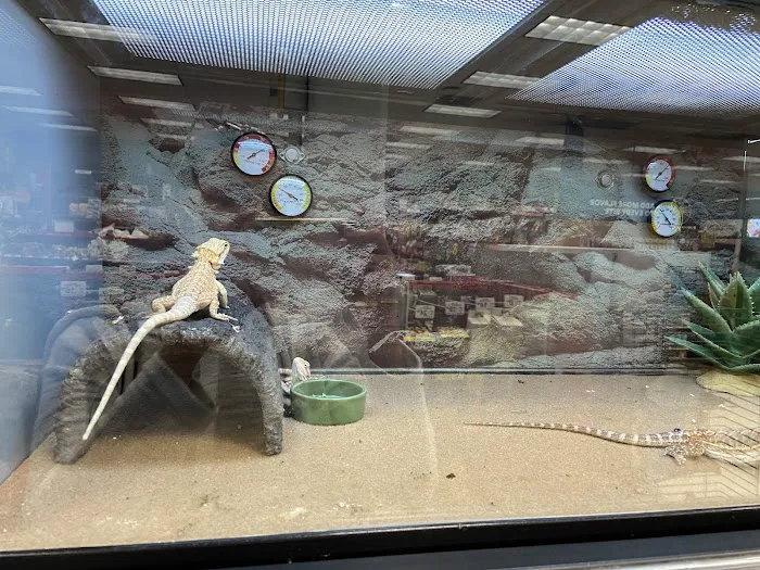 Petco Picture 2
