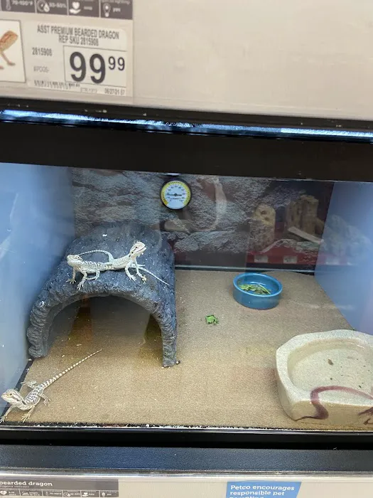 Petco Picture 3