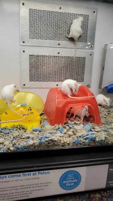 Petco Picture 8