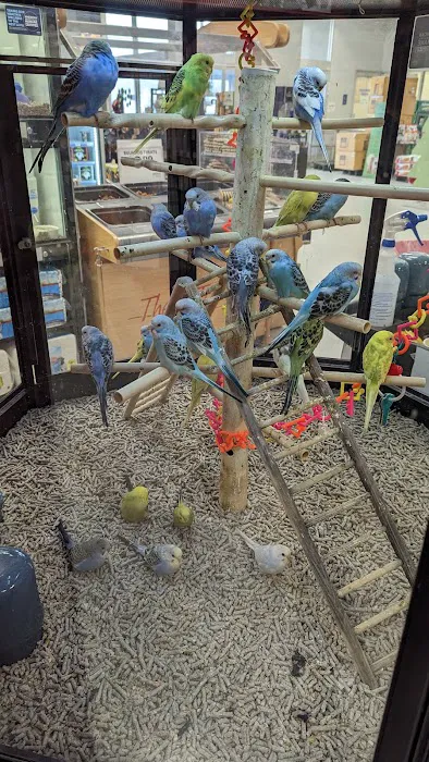 Petco Picture 9