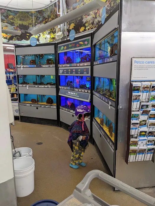 Petco Picture 10