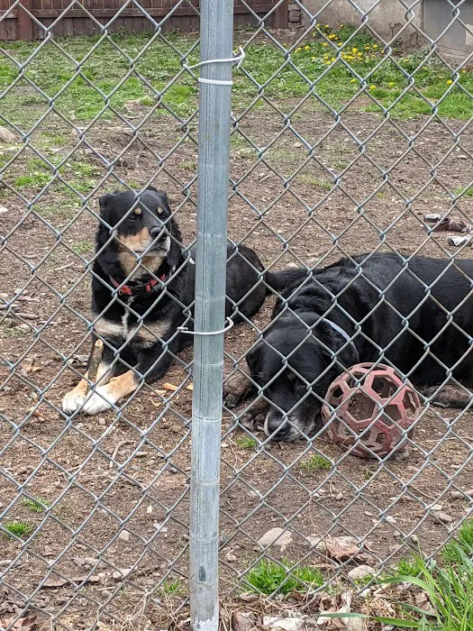 Compassionate Companion Care Picture 2