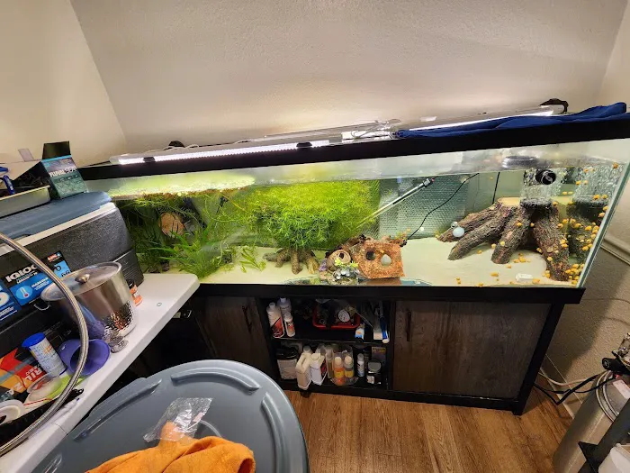 JJ Aquarium Picture 1