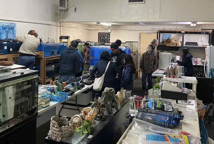 JJ Aquarium Picture 7