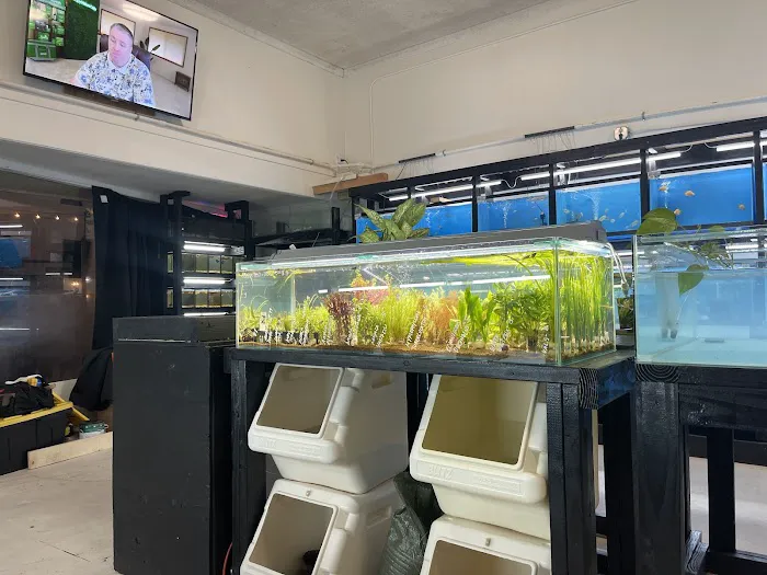 JJ Aquarium Picture 9