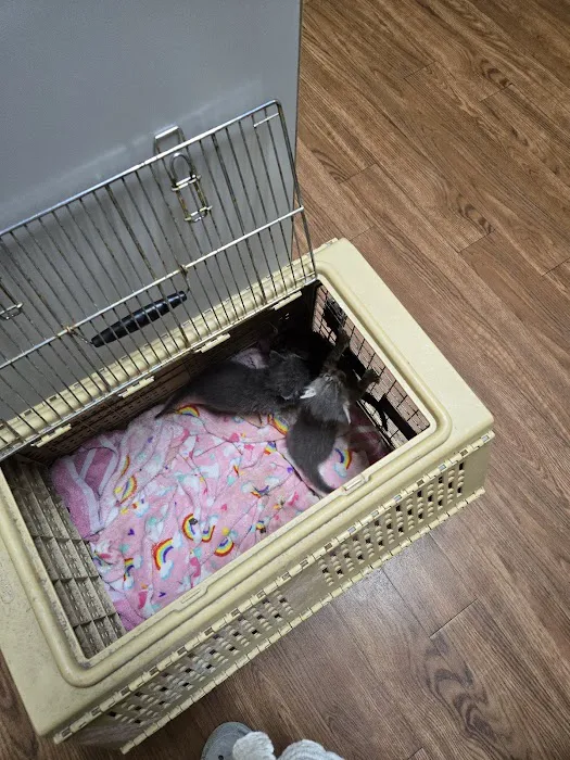 VCA Broadway Animal Hospital Picture 10