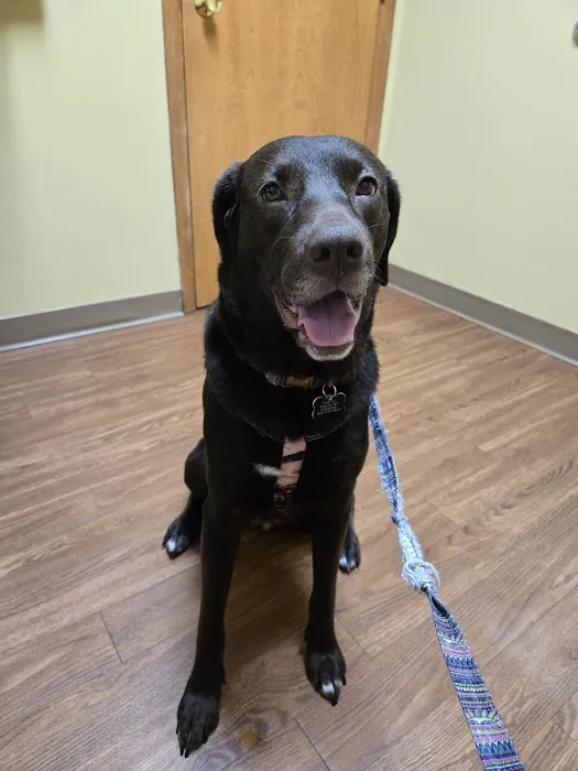 VCA Broadway Animal Hospital Picture 4