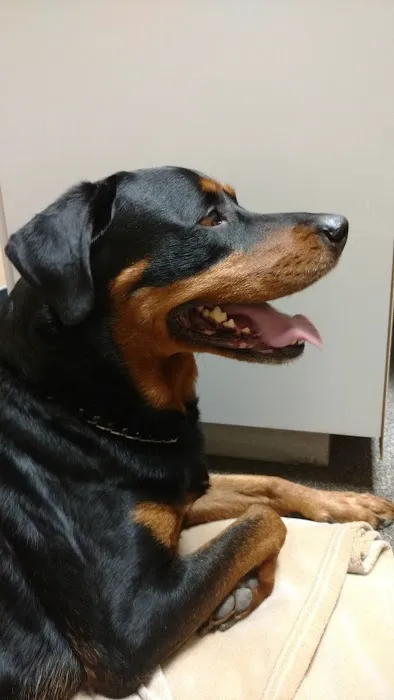 VCA Broadway Animal Hospital Picture 1