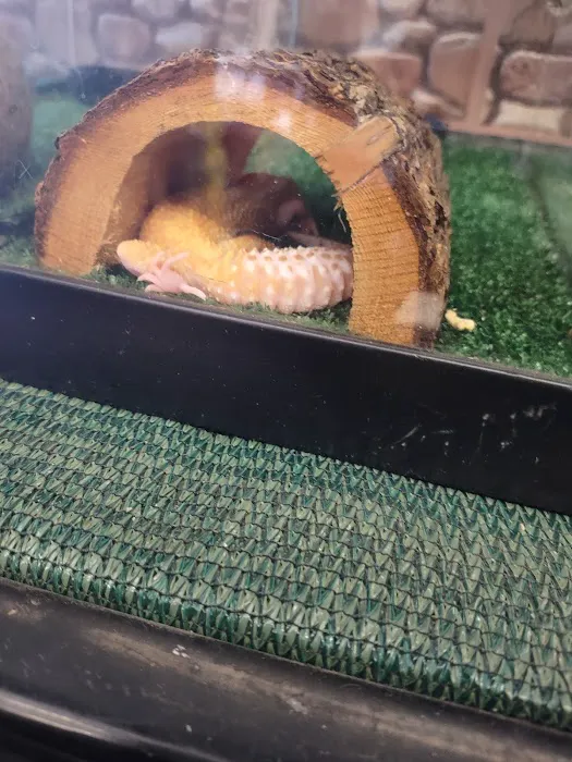Pet Shoppe Picture 5