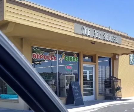 Pet Shoppe