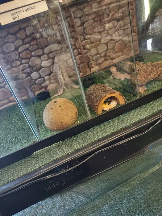 Pet Shoppe Picture 6