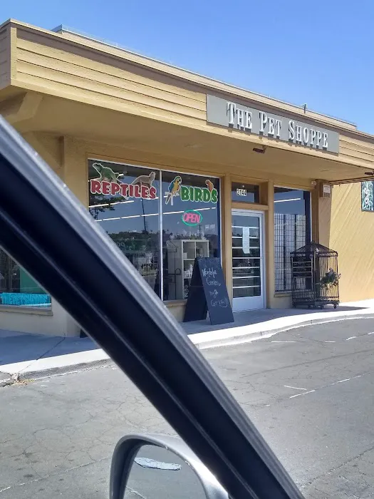 Pet Shoppe Picture 2
