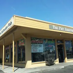 Pet Shoppe Picture 3