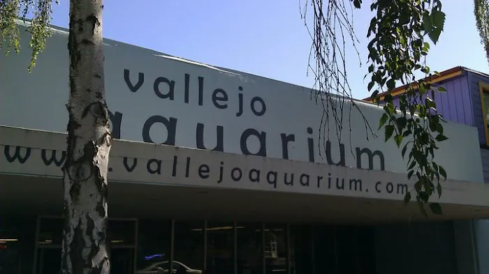 Vallejo Aquarium Picture 8