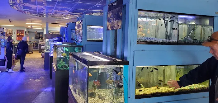 Vallejo Aquarium Picture 4