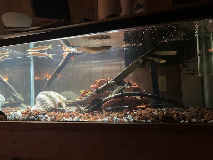 Vallejo Aquarium Picture 7