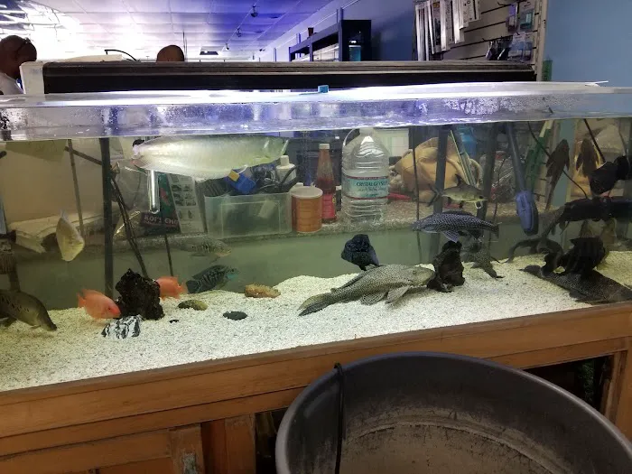 Vallejo Aquarium Picture 5