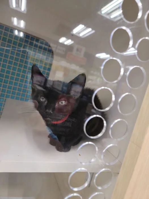 Petco Picture 3