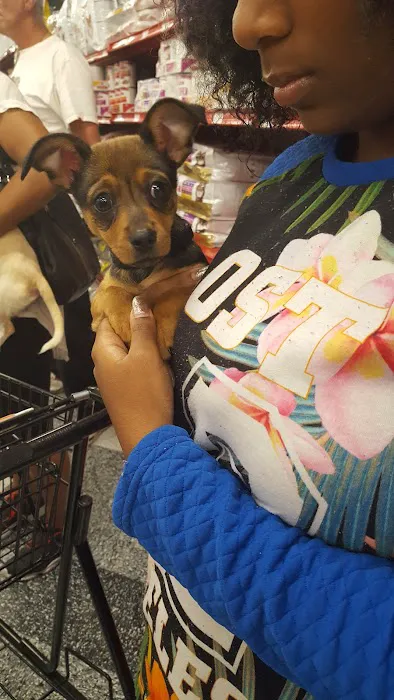 Petco Picture 7