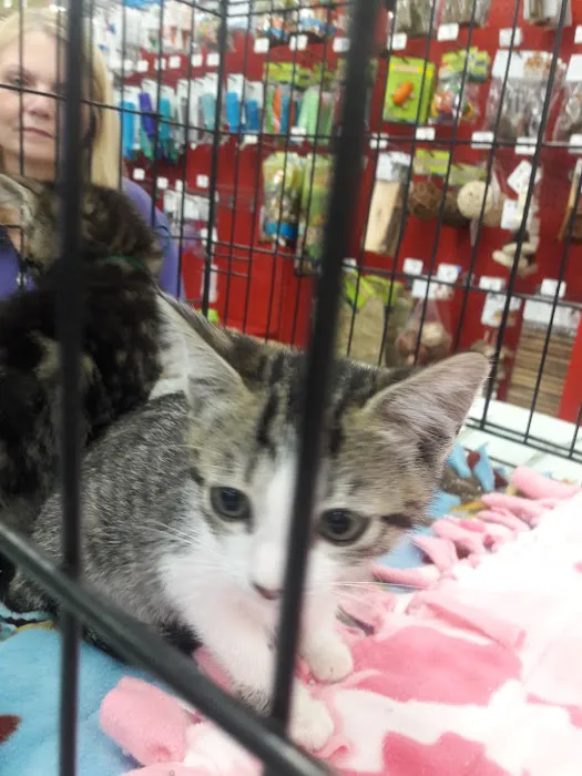 Petco Picture 10