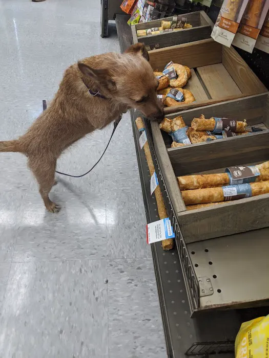 Petco Picture 1