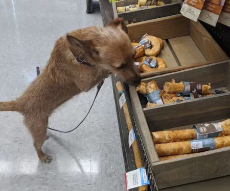 Petco