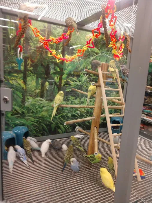 Petco Picture 6