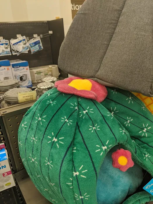 Petco Picture 9