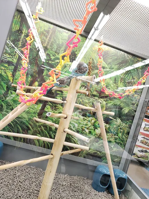 Petco Picture 5