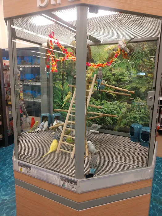 Petco Picture 4