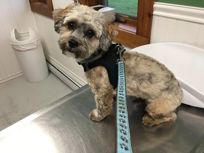 Lake Country Veterinary Care Picture 5