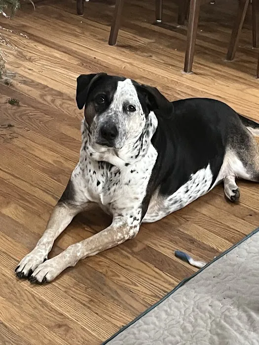 Lake Country Veterinary Care Picture 8