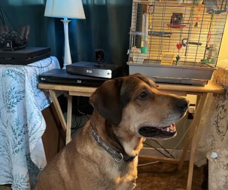 Lake Country Veterinary Care