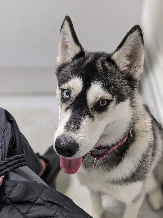 Lake Country Veterinary Care Picture 6