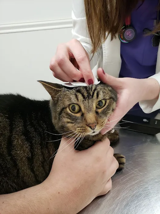 Lake Country Veterinary Care Picture 4