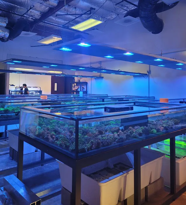 Aqua Plus Aquarium Picture 5