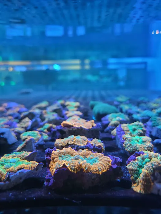 Aqua Plus Aquarium Picture 1