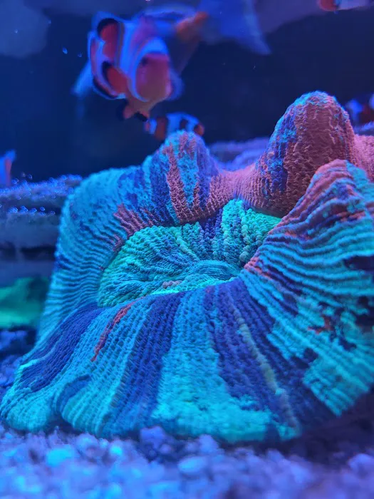 Aqua Plus Aquarium Picture 2