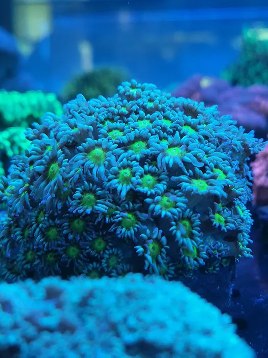 Aqua Plus Aquarium Picture 9