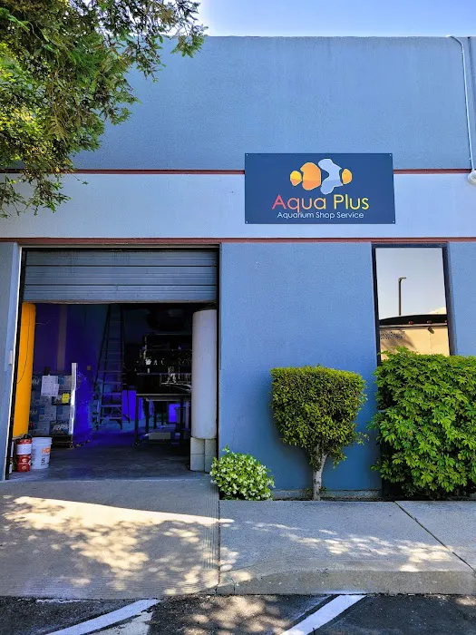 Aqua Plus Aquarium Picture 7