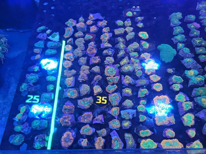 Aqua Plus Aquarium Picture 4
