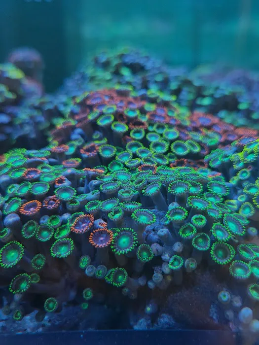 Aqua Plus Aquarium Picture 8
